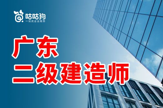 广东正法控股有限公司，深度解析其发展与影响