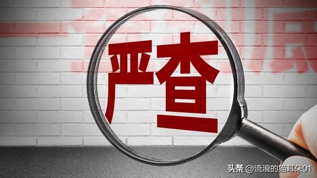 广东省河源市市长，城市发展的领航者