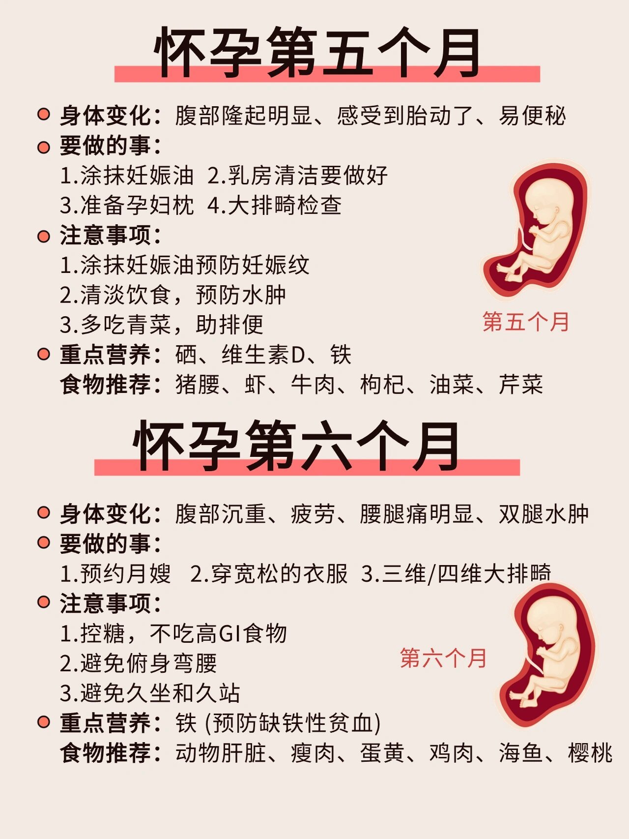 孕妇五六个月注意事项——专业解读与深度解析