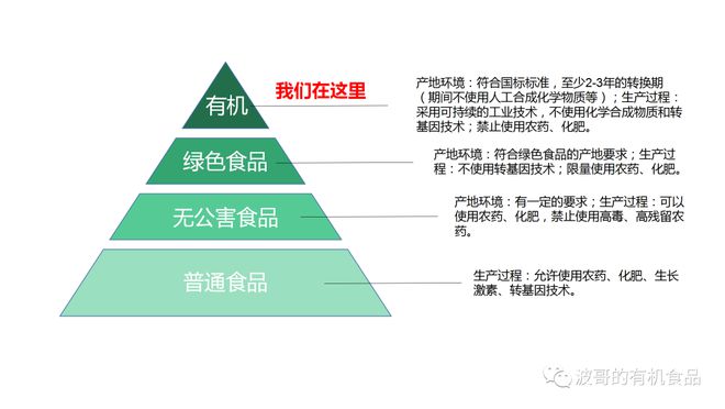 广东省超标食品深度解析，种类、原因与应对措施