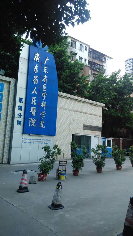 广东省惠福分院停诊事件深度解析